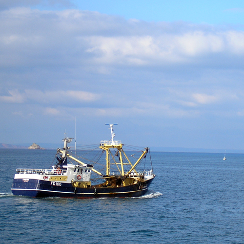 Beam Trawler
